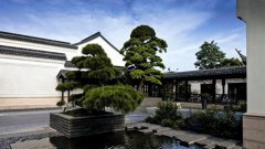 庭院設計主題:中式景觀庭院設計應遵循哪些原則